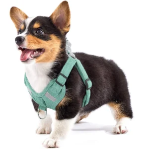 Adjustable Dog Harness Breathable Comfort Harness Dog No Pull Reflective Dog Harness And Leash Set For Small Middle Pet