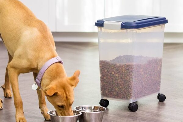 dog food storage container