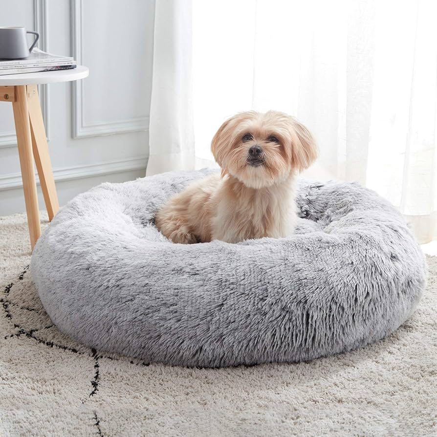 human dog bed