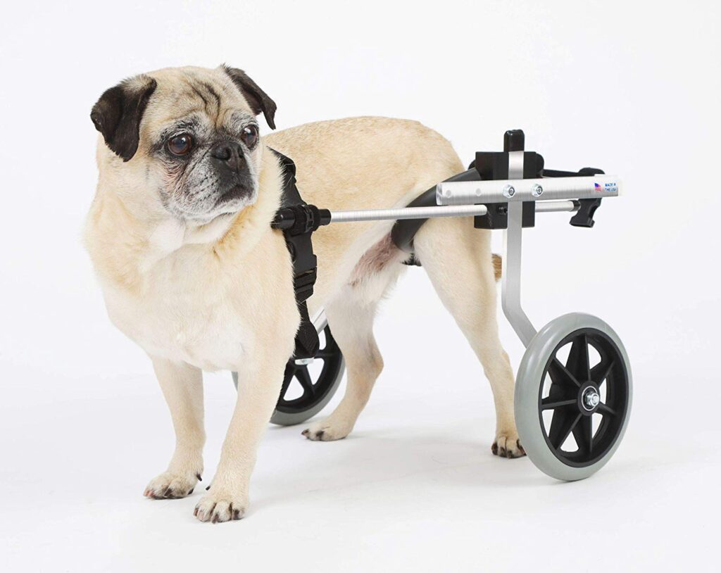 dog wheelchair