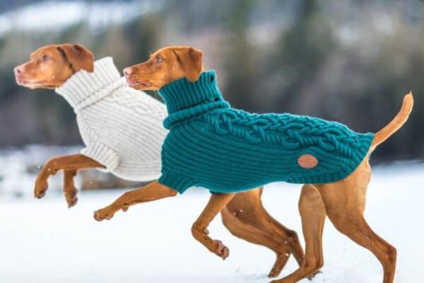 Dog Sweaters