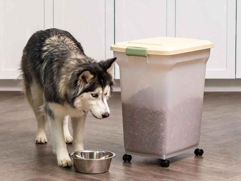 dog food storage container