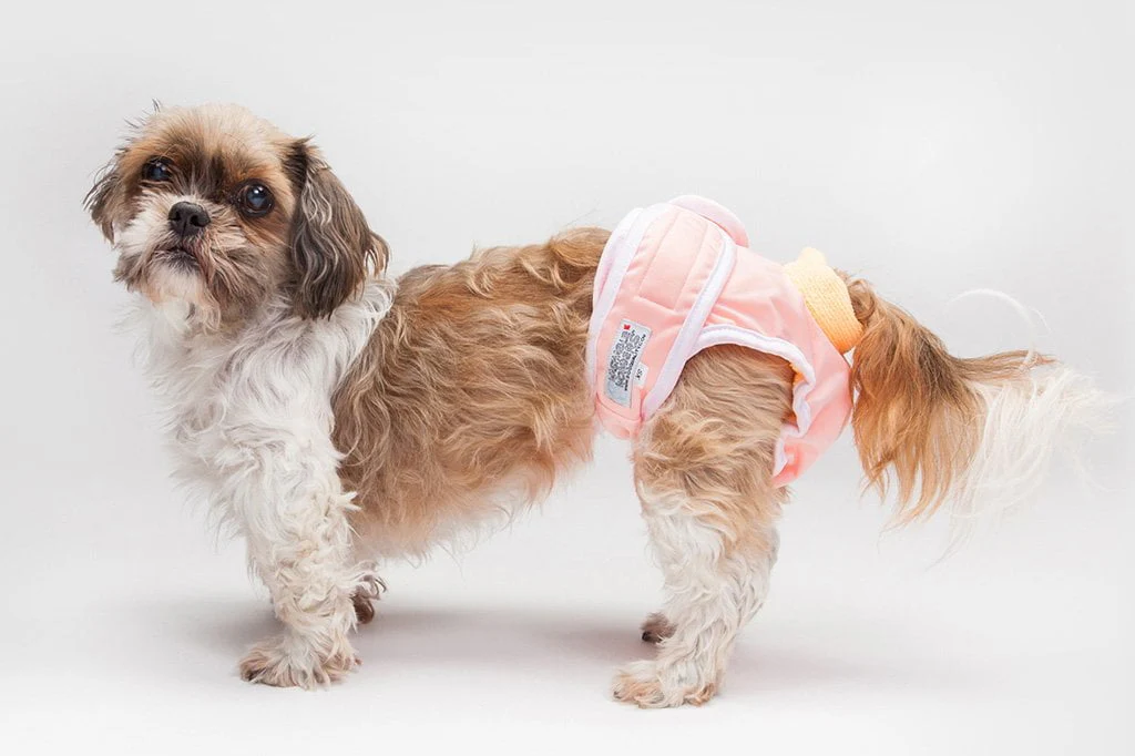 Dog Diapers