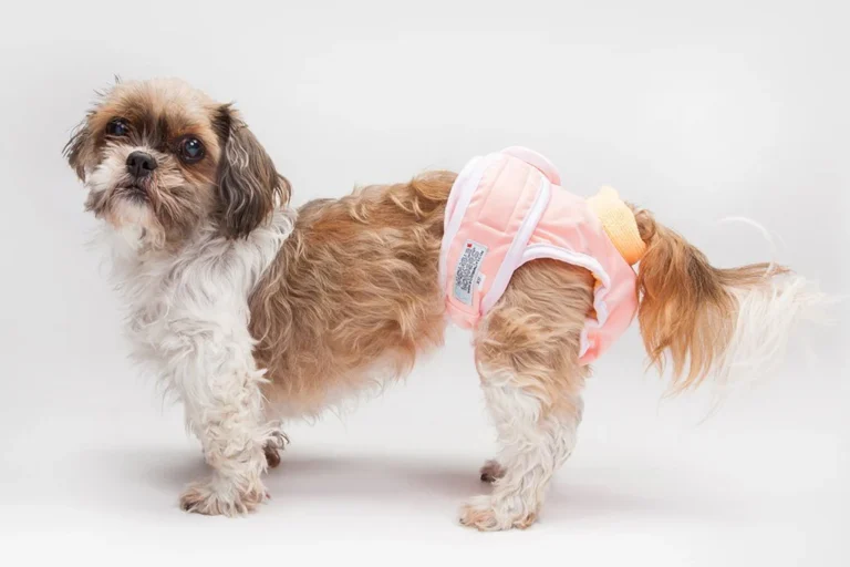 Dog Diapers