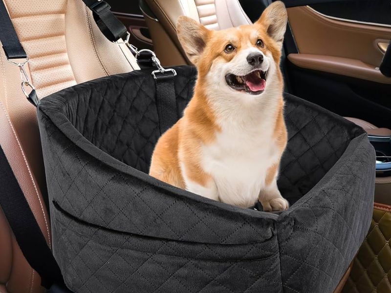 dog car seat