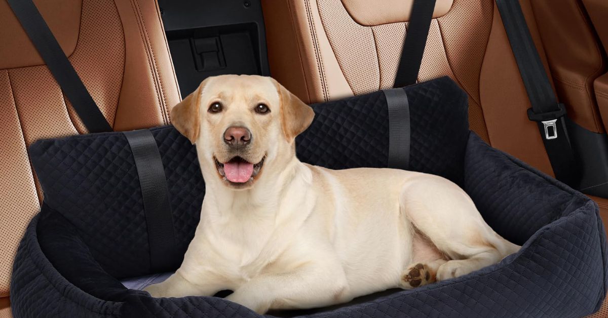 Dog Car Seats