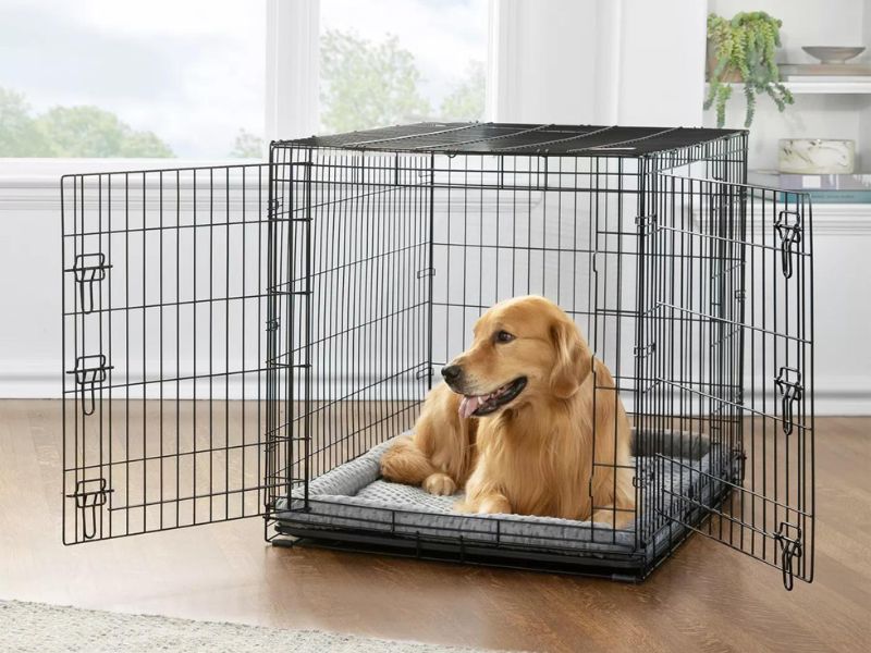 Dog Crate