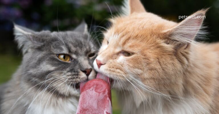 Can Cats Eat Ice Cream - Featured Image