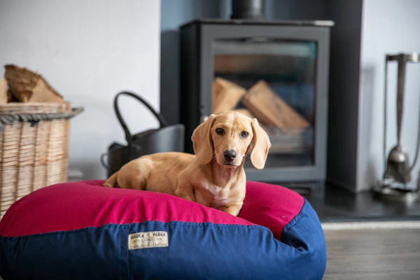 Dog Beds