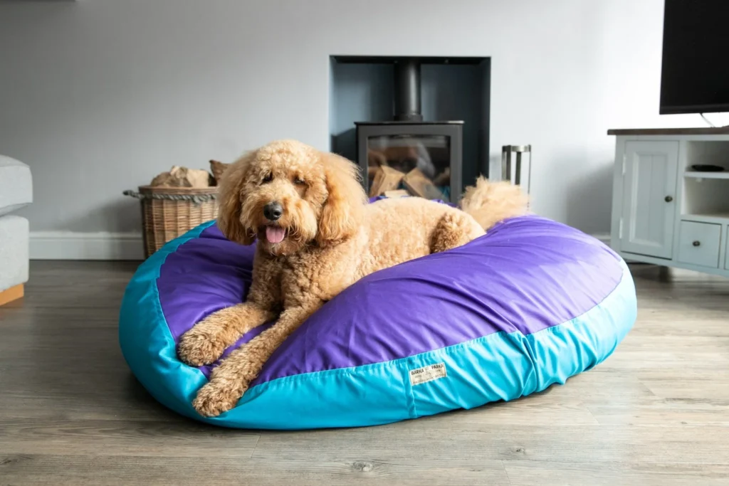 Dog Beds