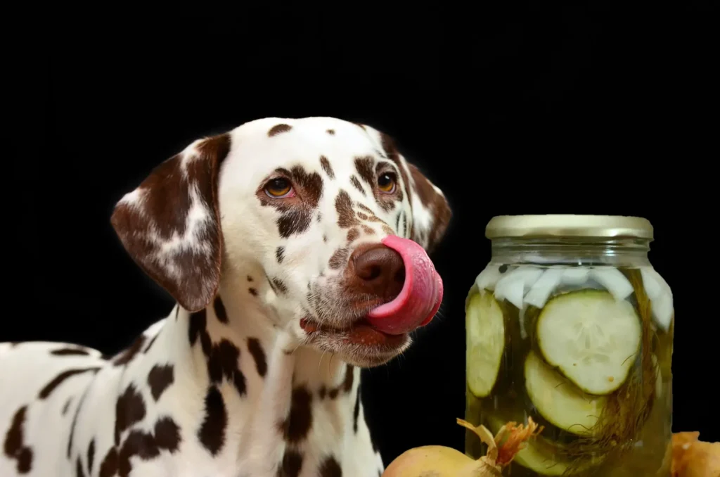 can dogs eat pickles