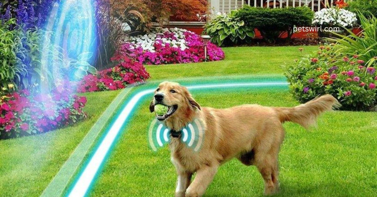 Electric Fence for dogs - Featured Image