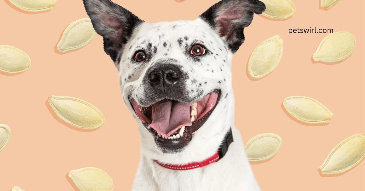 Can Dogs Eat Pumpkin Seeds - Featured Image