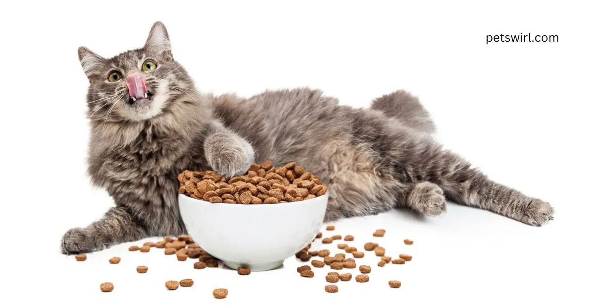 Can Cats Eat Cashews - Featured Image