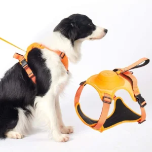 Dog Harness With Built-in Retractable Leash, Auto Locking And Zero Pull Control, Adjustable Strap, Suitable For Small And Medium
