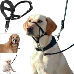 Nylon Dog Muzzle Adjustable Anti-barking Anti-bite Harness Collar Muzzle Dog Halter Training Leash Leader Classic Collar