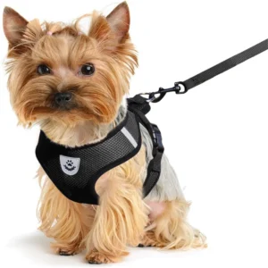 Comfortable Soft Adjustable Mesh Chest Harness and Leash Set for Small Dogs and Puppies, Anti-Escape Design, Ideal for Medium Si