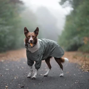 Water-Resistant Dog Jacket, Dogs Raincoat, Waterproof Large Dogs Rain Jacket with Packable Hood, Dog Hoodies
