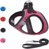 .4 lb RoseFlat Leash